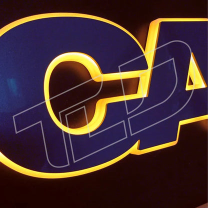 LED Emblem - Passend für Scania